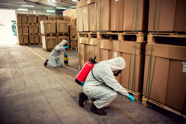 Best Residential Pest Control  in Cairo, NE