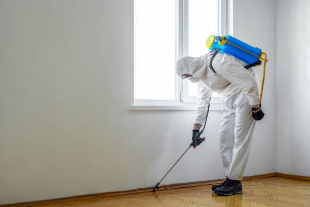 Best Commercial Pest Control Services  in Cairo, NE